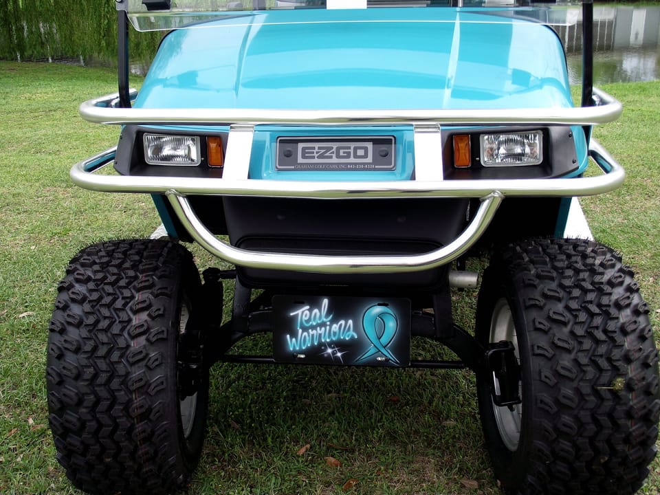 The TEAL WARRIORS - Village Car
