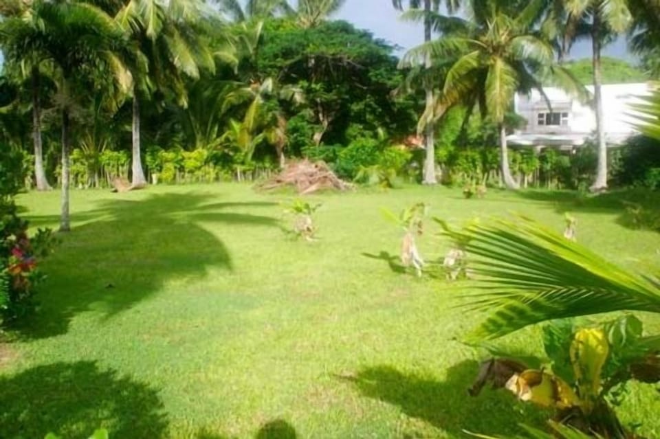 the back yard