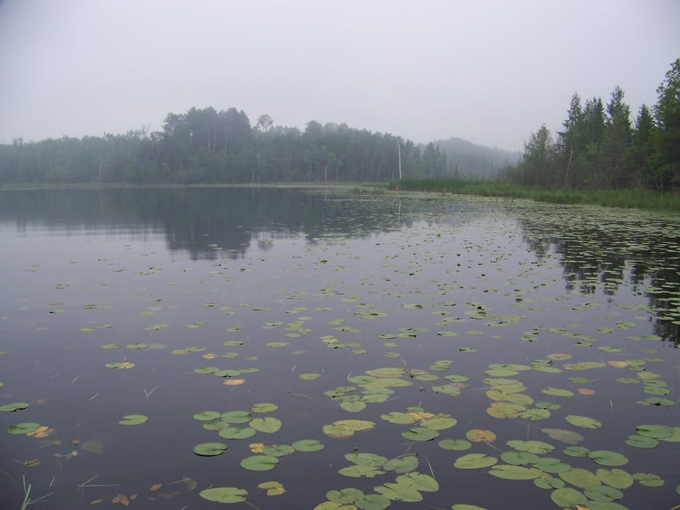 Misty morning looking east from dock.