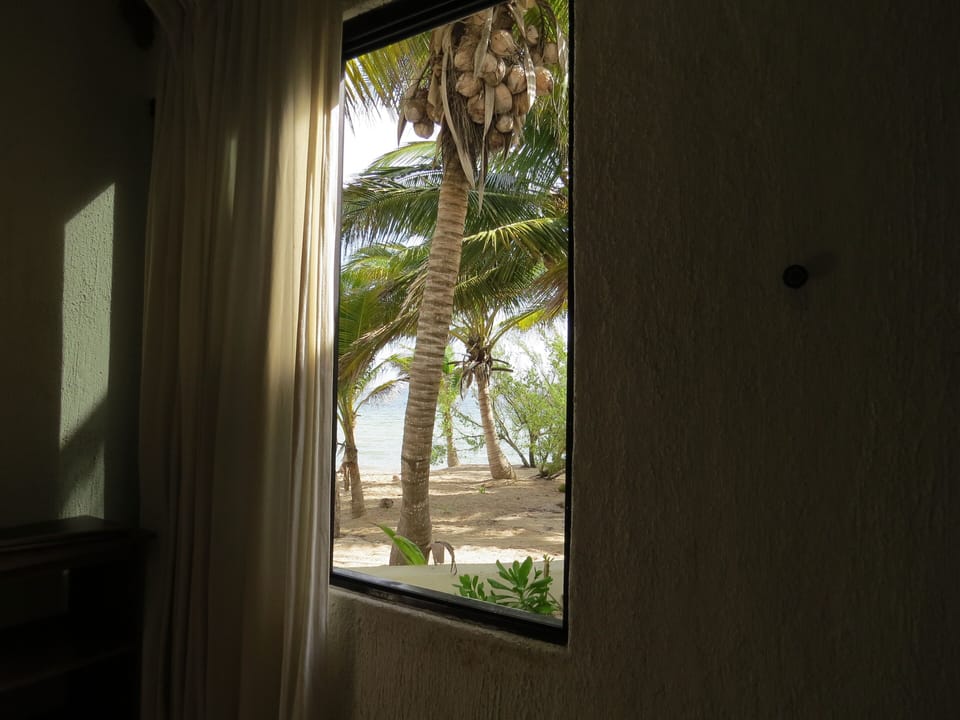 View from second bedroom.