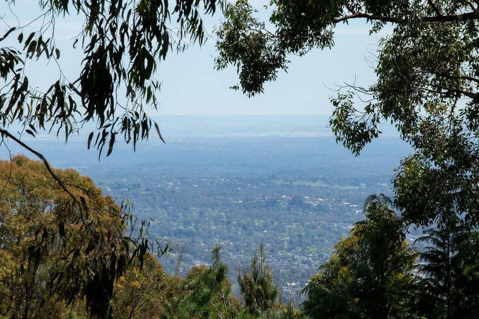 View at the back of the property from common area deck