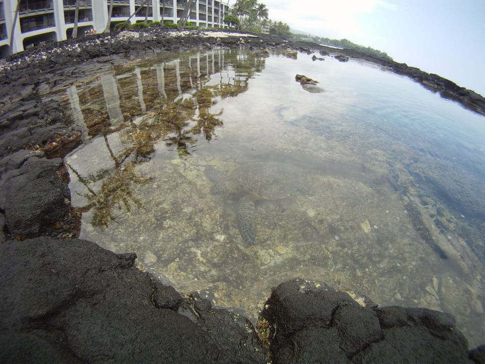 Tide pools