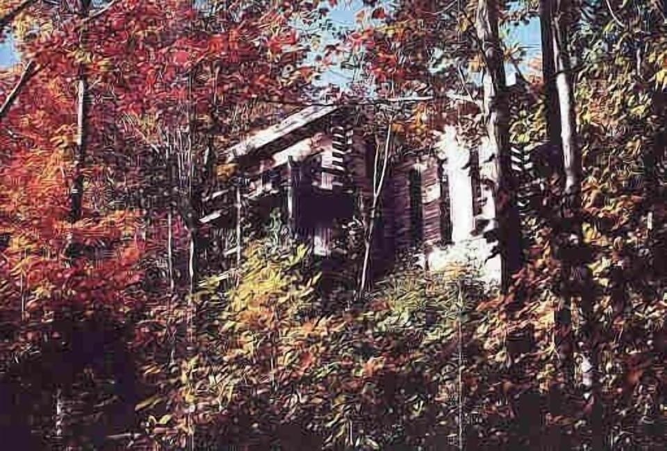 Foliage Season