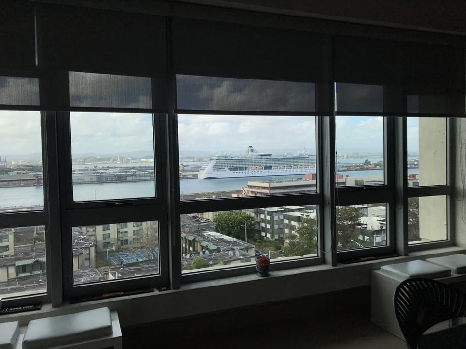 view from the dining room 