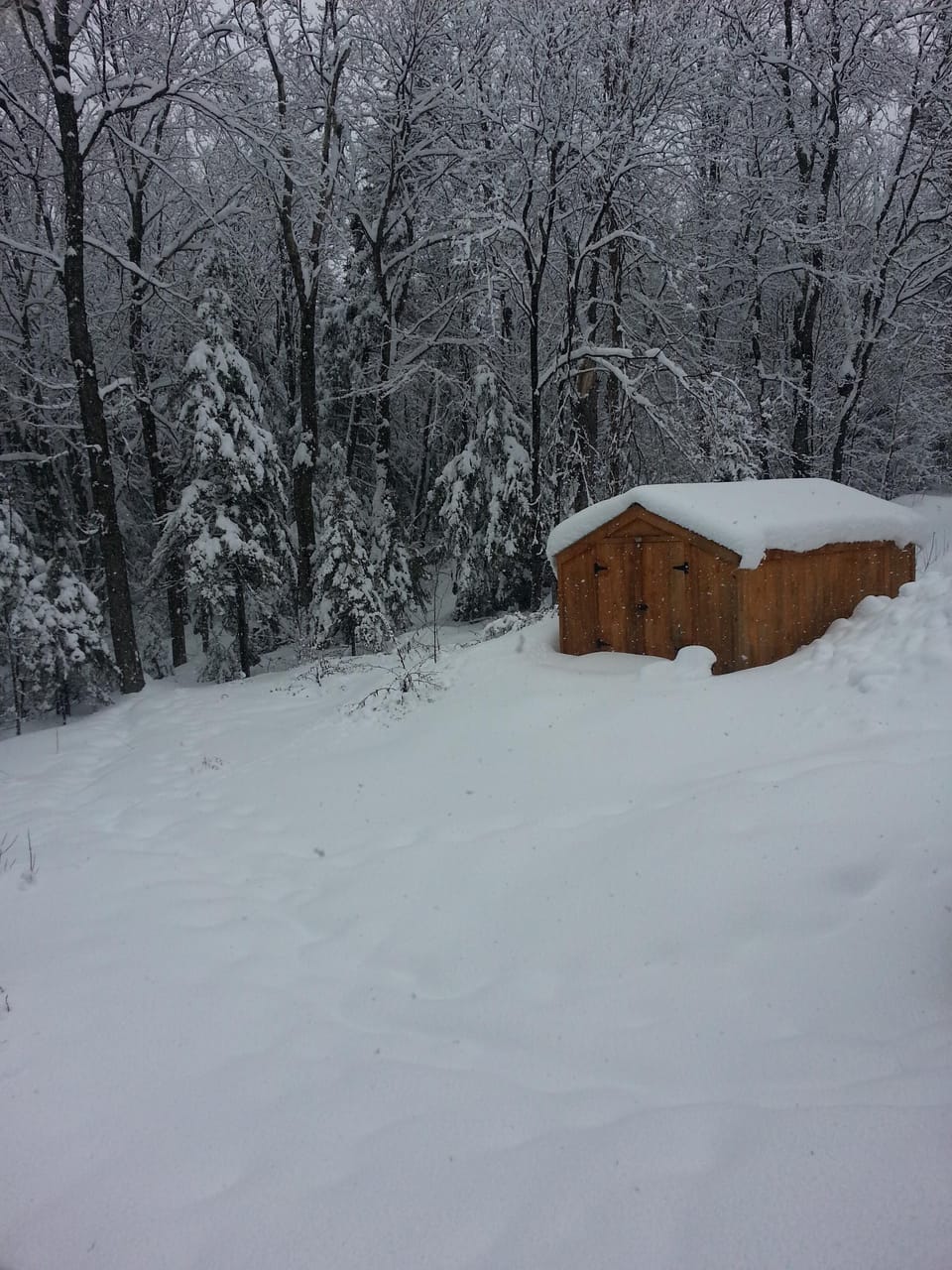 Backyard view from Hot tub