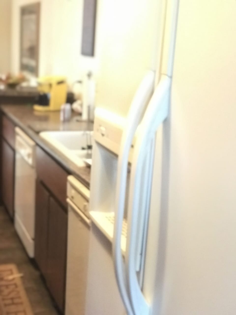 Ice making Fridge
