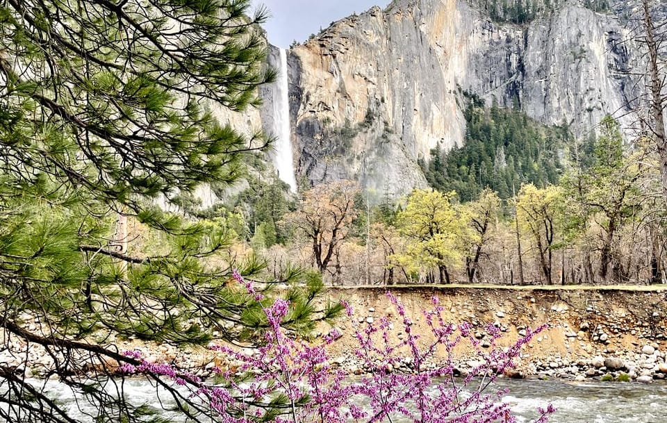 Yosemite National Park