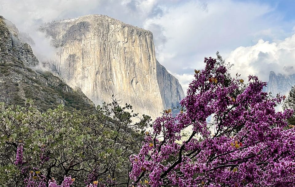 El Capitain is one of the largest pieces of granite in the world