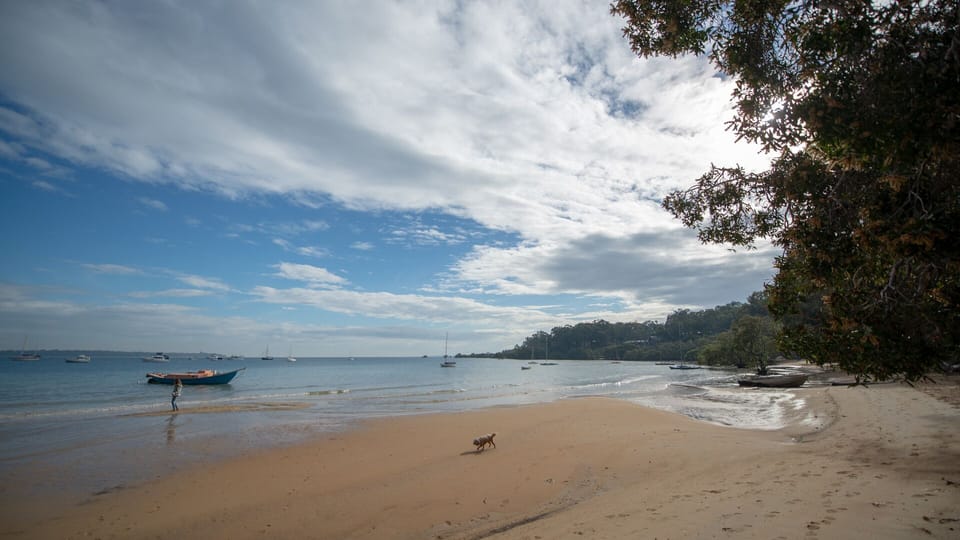 View at low tide from Villa Macleay's front deck