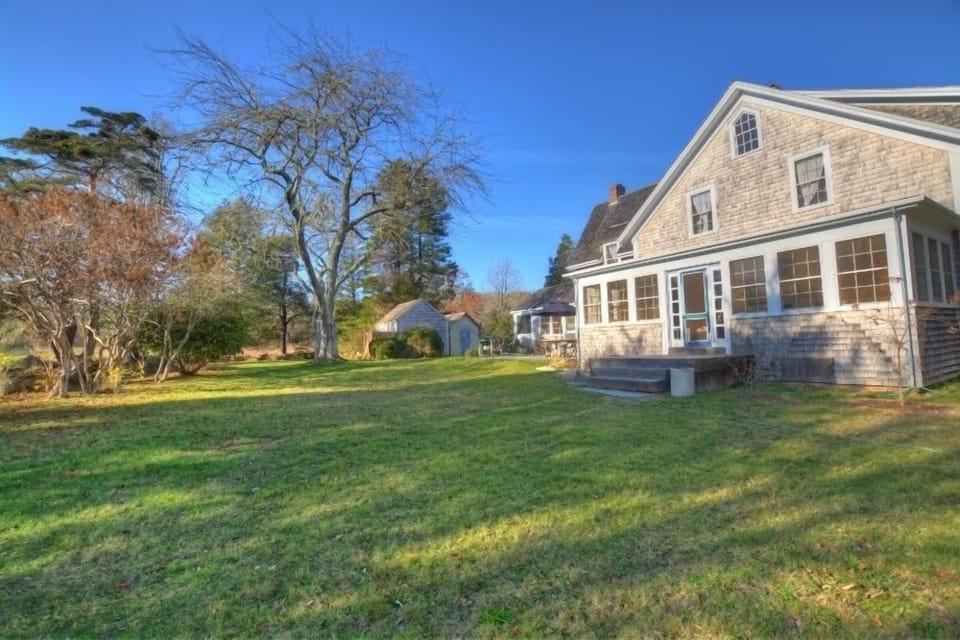 back yard