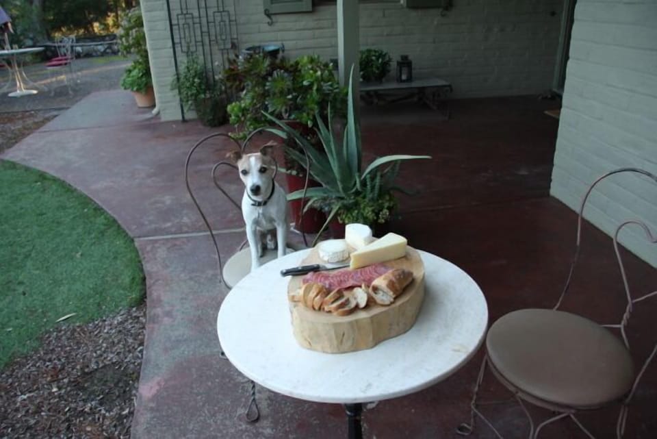 Hungry