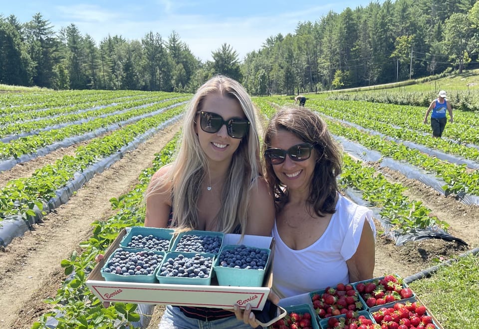Berry picking is a fun outing when visiting Finch Camp in the summertime. 