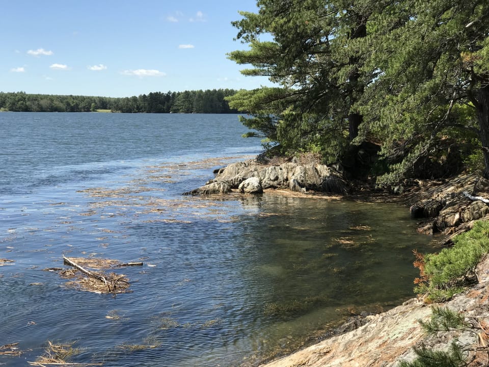Hubbard Point hiking trails. 
