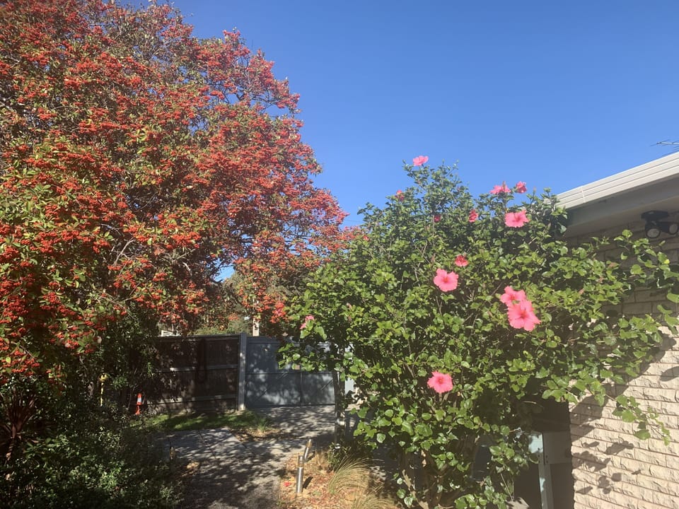 Autumn in Sorrento 