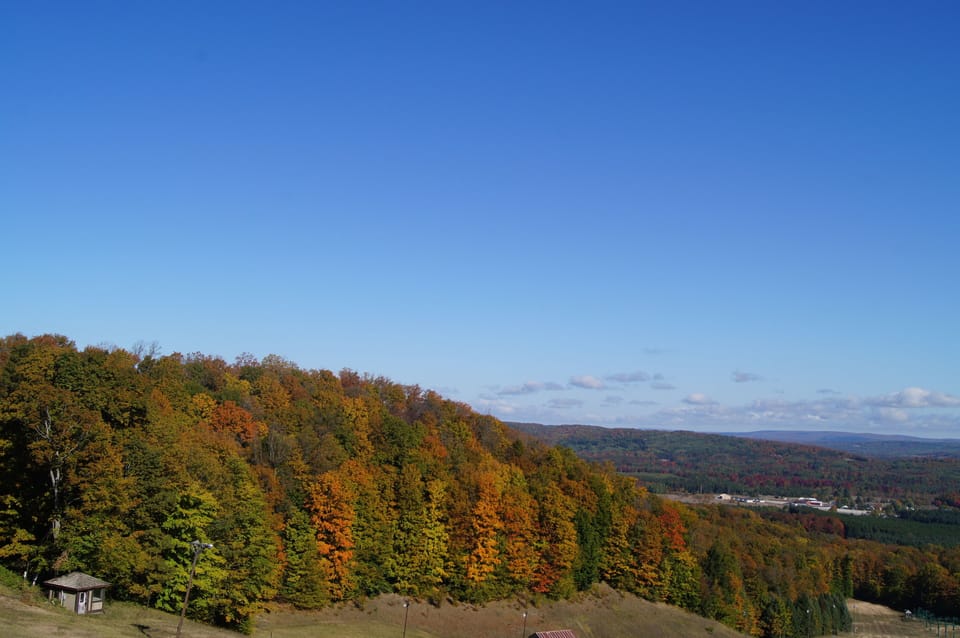 Fall colors.