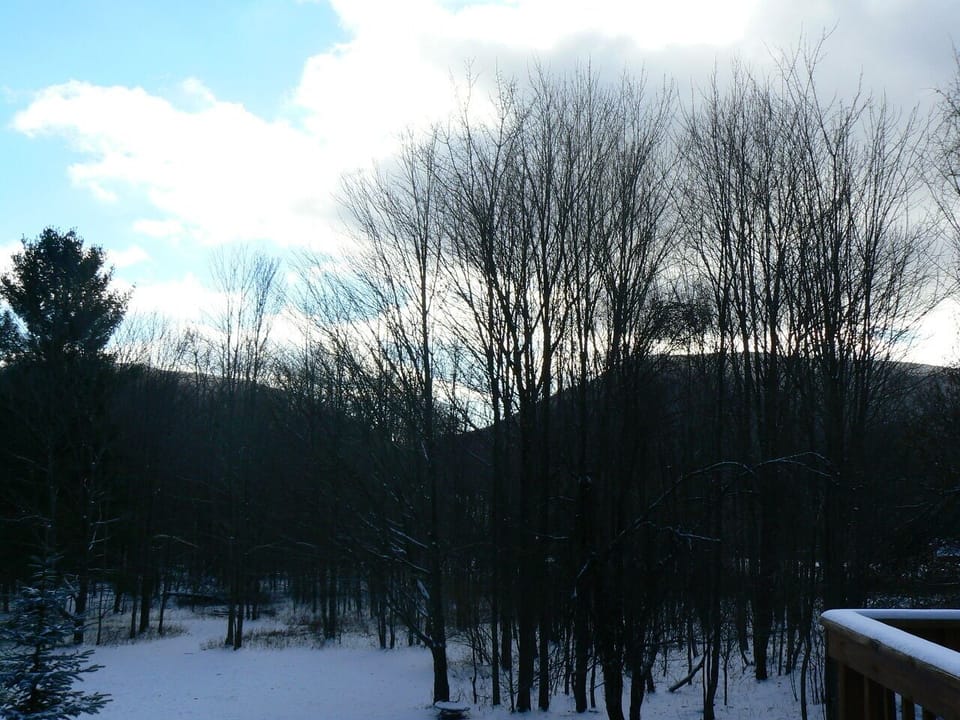 View from property