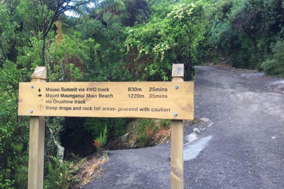 Track to the top of Mauao