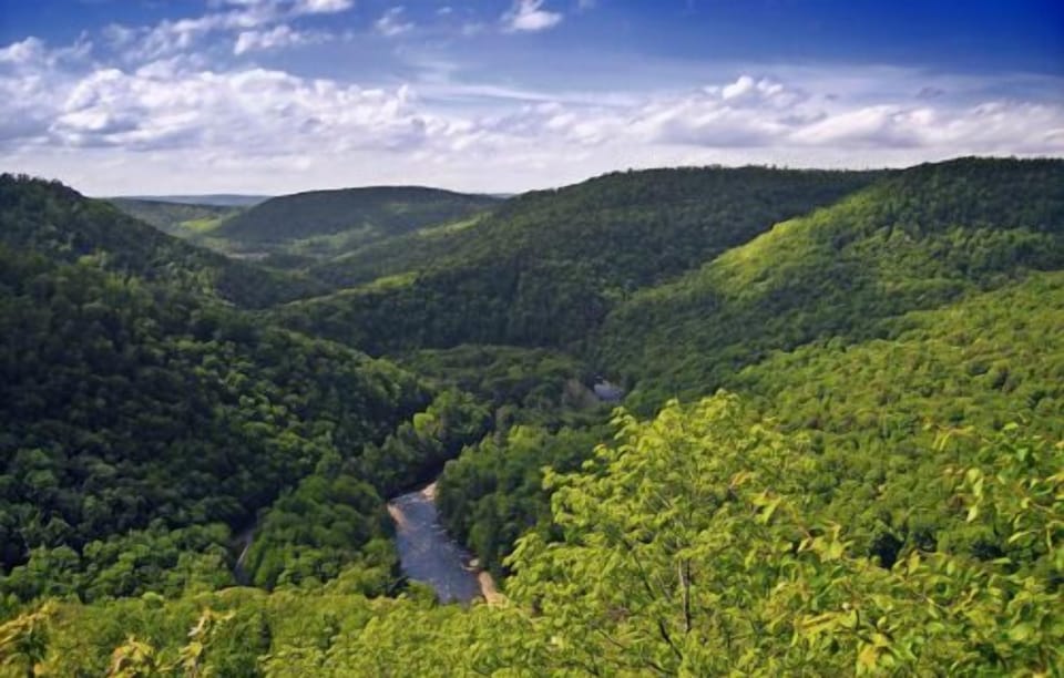 View of Loyalsock Creek From Canyon Vista