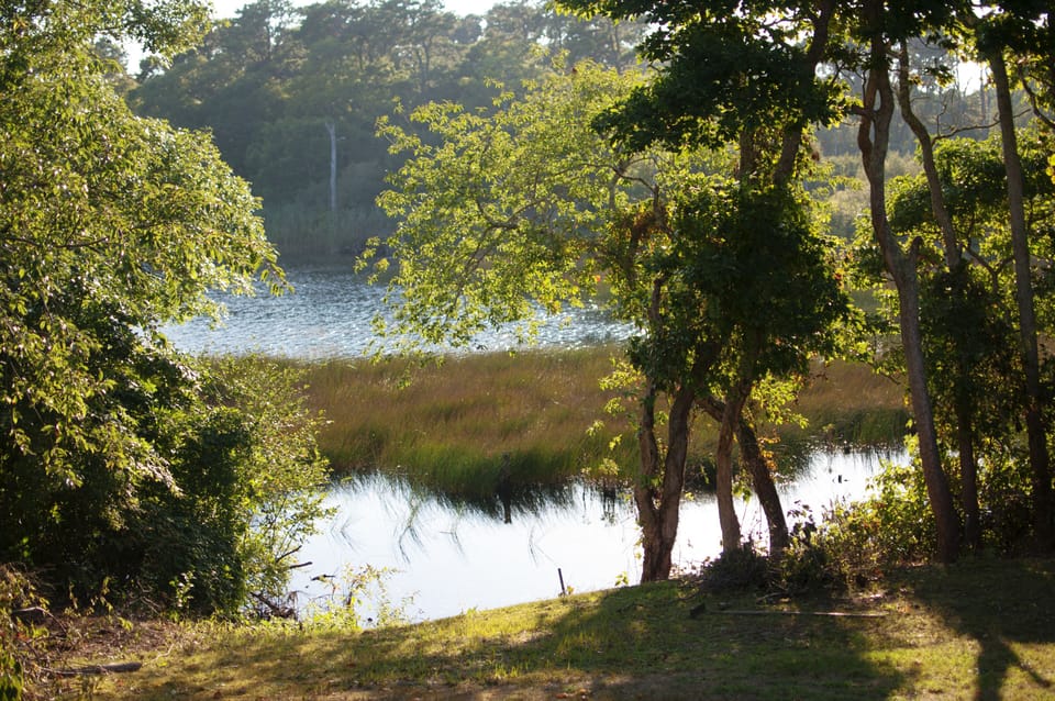 Back yard with amazing pond view