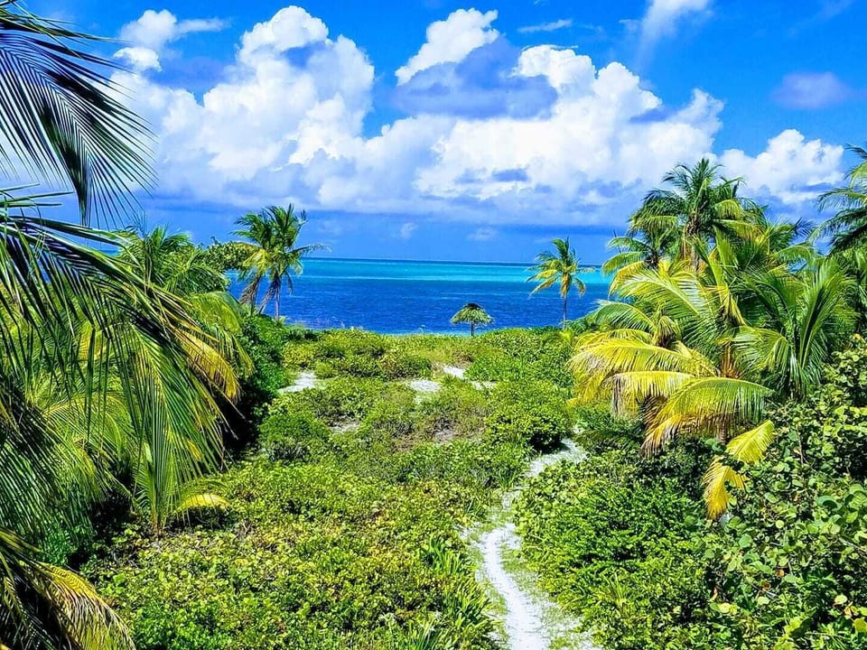 Amazing view from Conch Shell Beach Villa.  A great way to start each day. 
