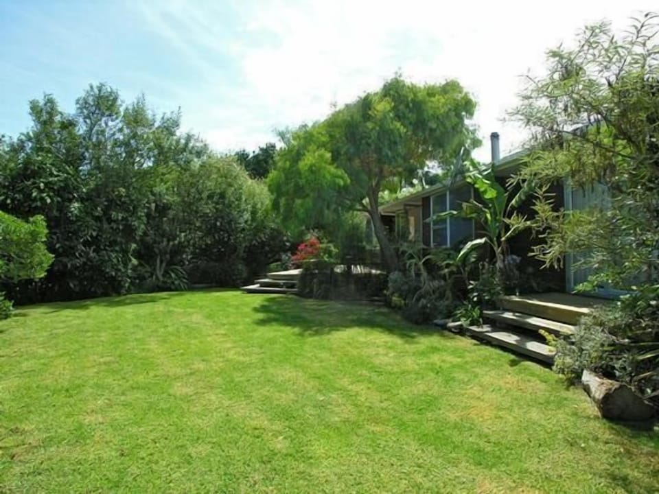 lawn