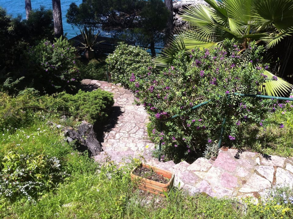garden stone steps