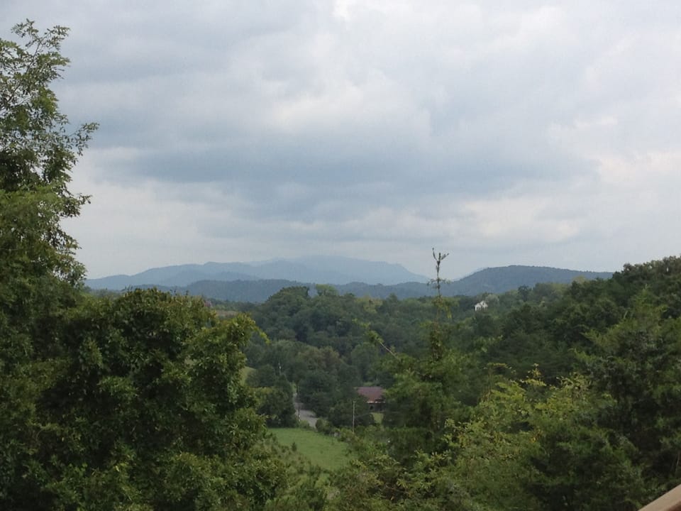 VIEWS FROM THE CABIN