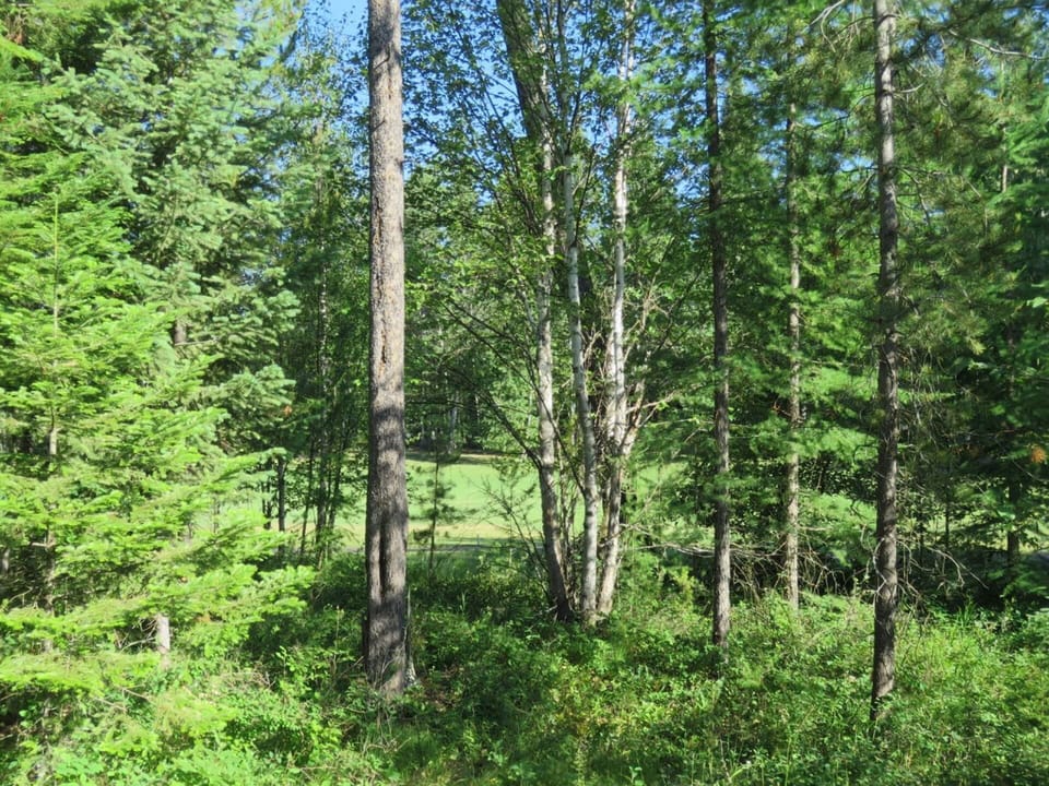 7th fairway view, gives a feeling of seclusion.