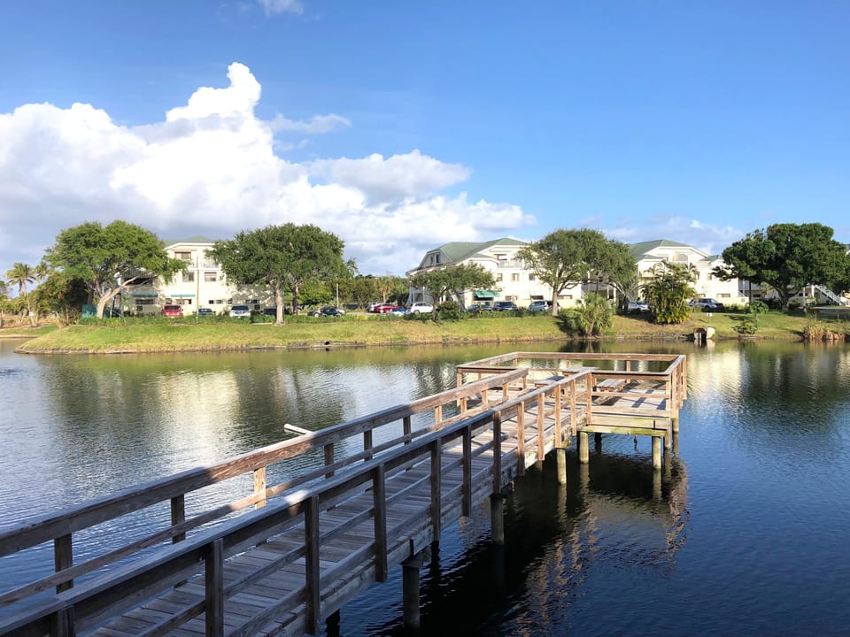 Our community pond and viewing dock.