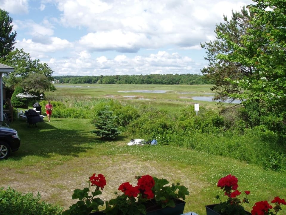          Preserve View from the Back Bedroom, Deck and Kitchen 