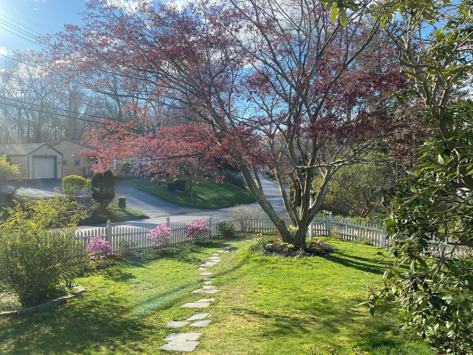 front yard