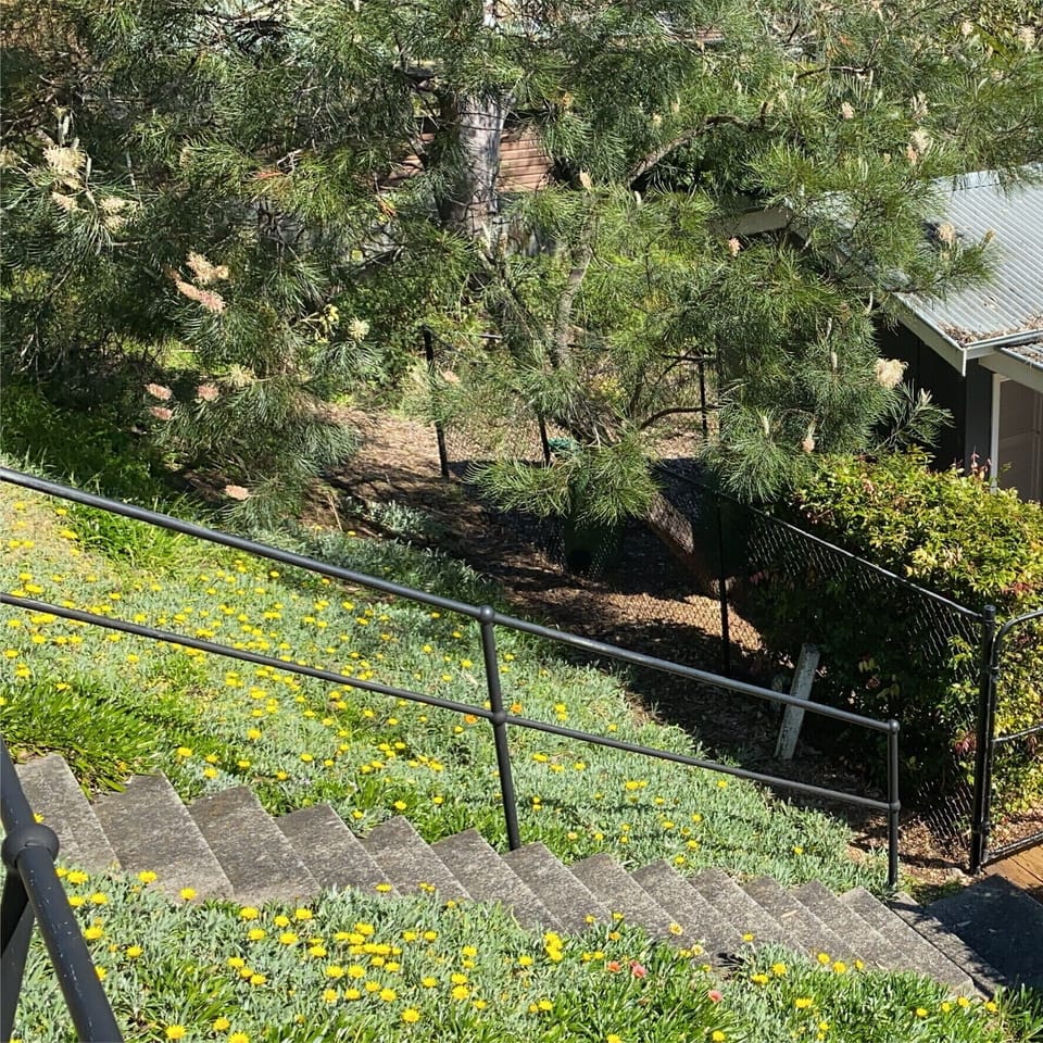 Steps from road