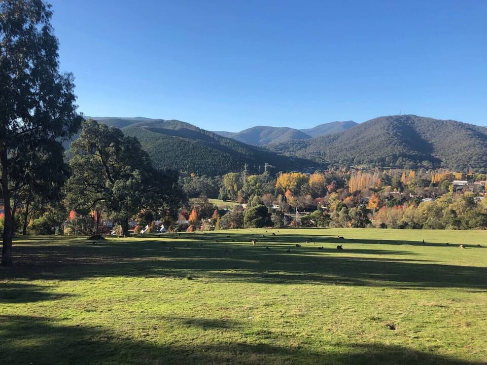 More stunning alpine views from Bright Barn Retreat property....