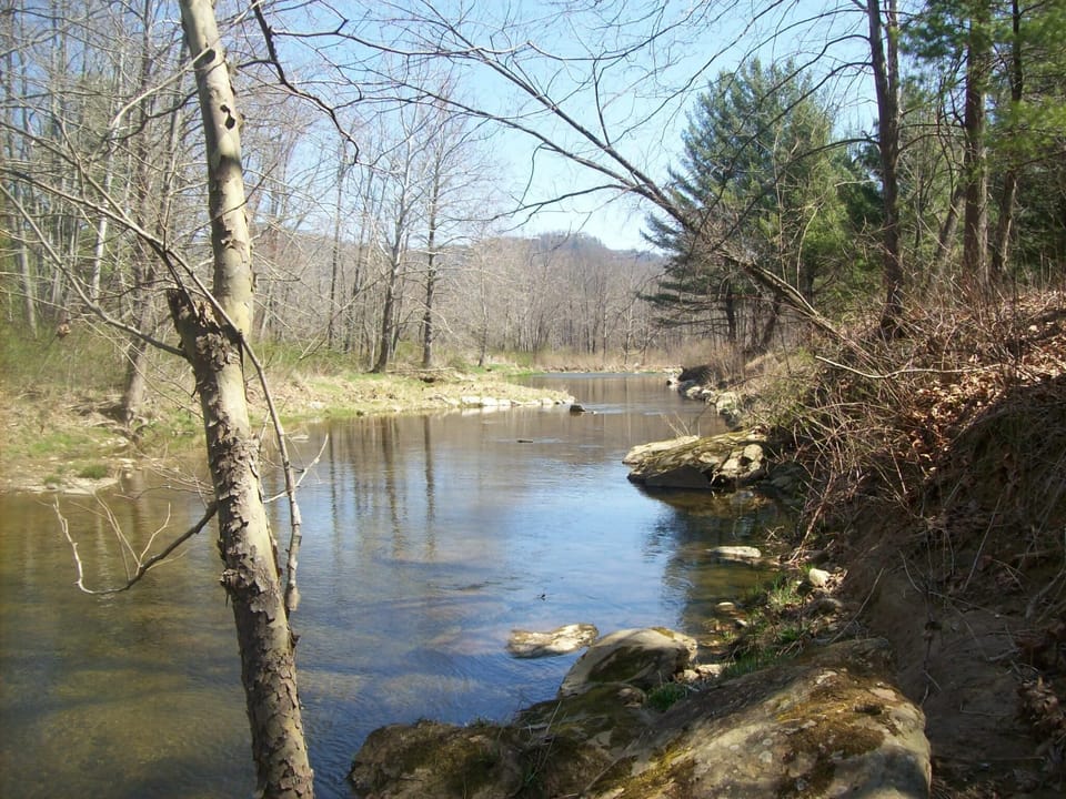 View of the river from rear of lot looking downstream