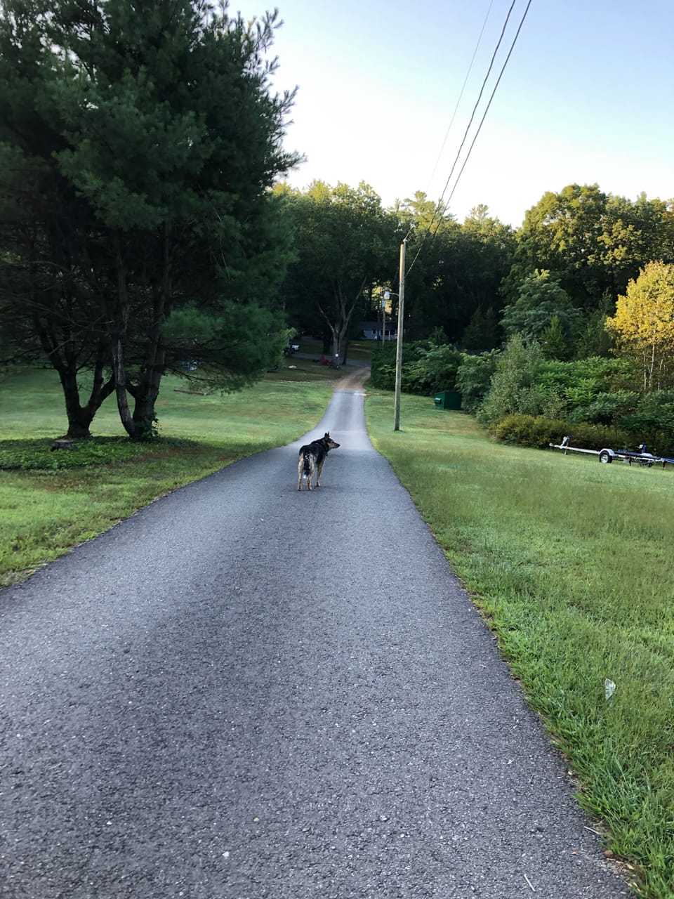 Full Driveway from Rt 3 down to the cottages and lake