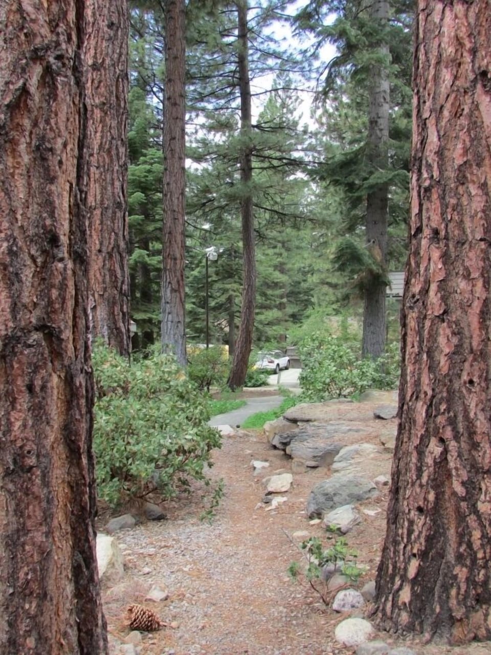 Complex Common Area