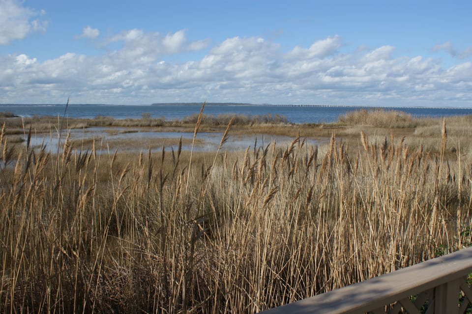 bay view from back deck