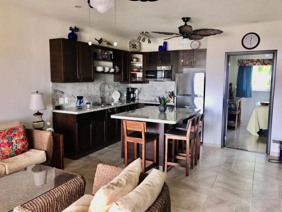 Open design kitchen and living room with look into second bedroom