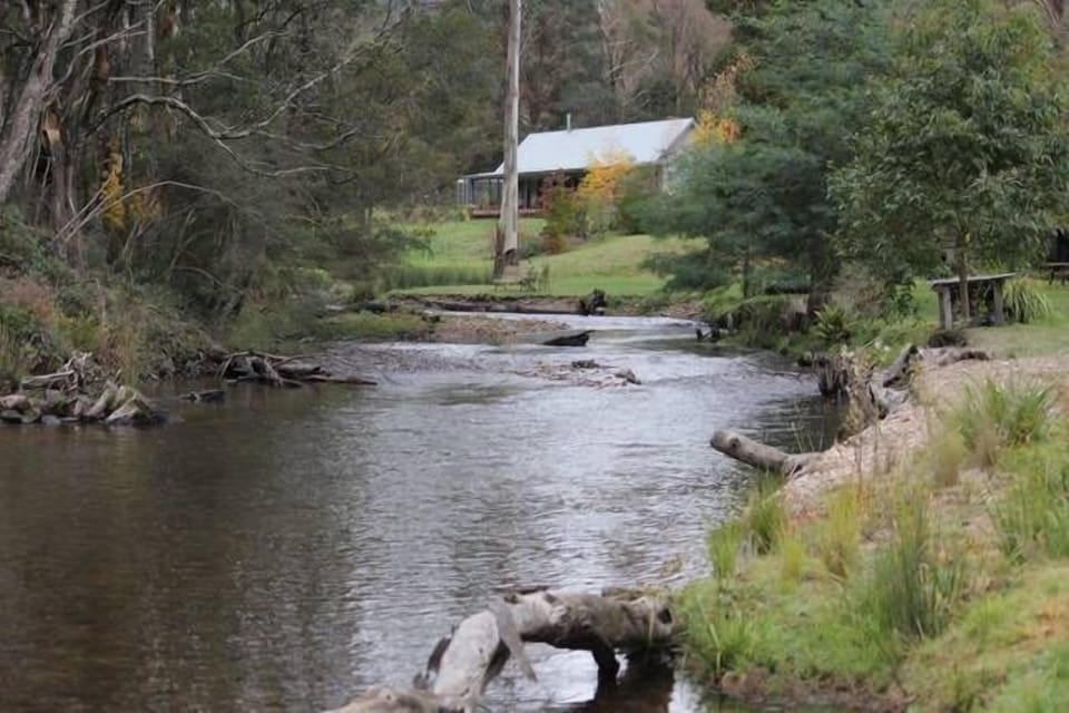 Delatite River at bottom of block