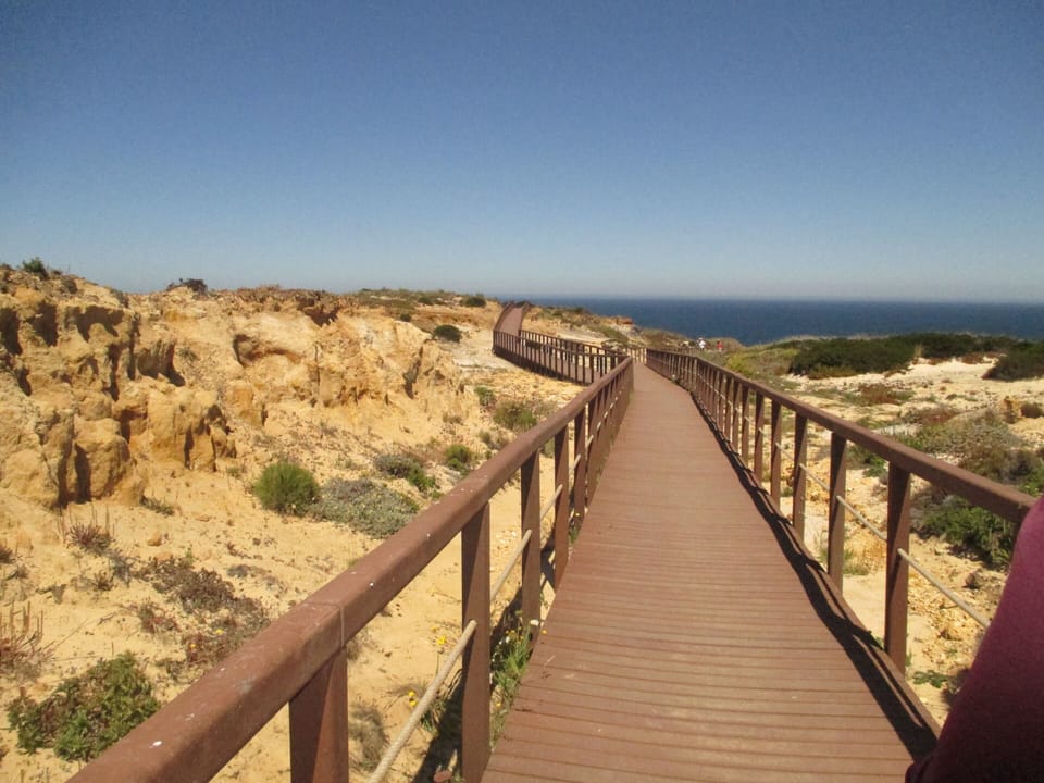 Beach/ocean view