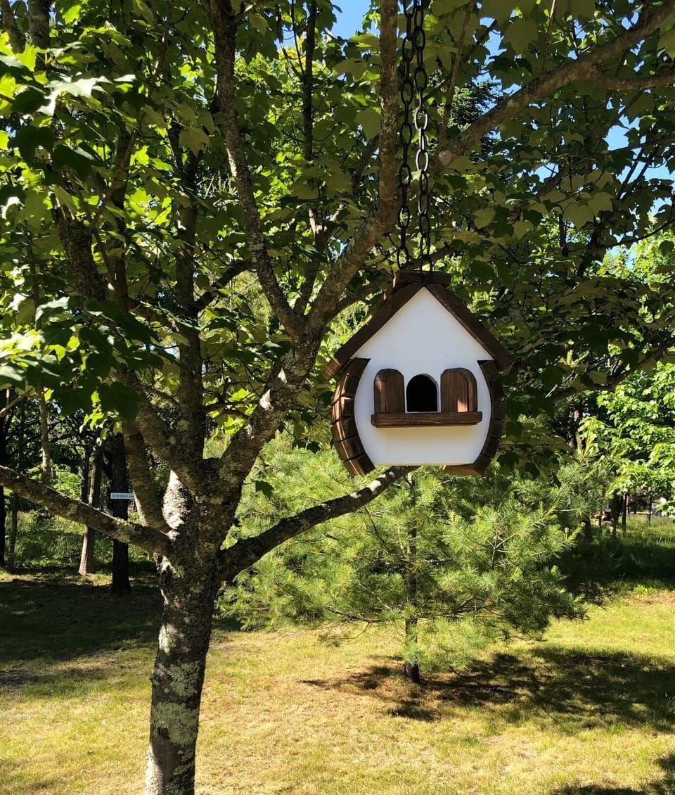 Home sweet home.