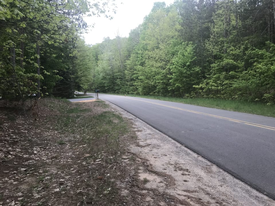 Indian Garden road - from our driveway apron - large wooded area across the road