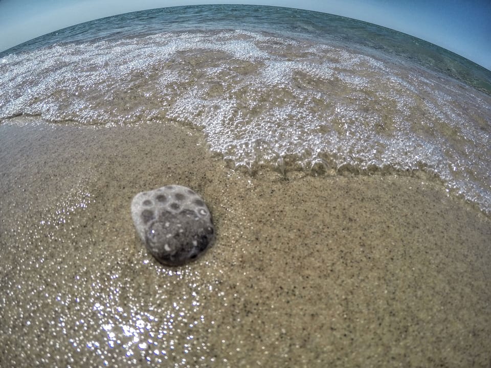 Enjoy this northern Michigan playground!
