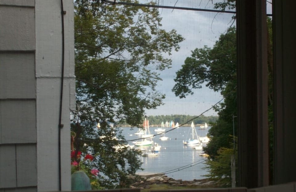 From my window in season
