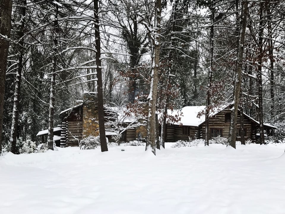 The soft white magic of January 