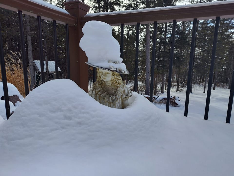 It does snow in Wausau!