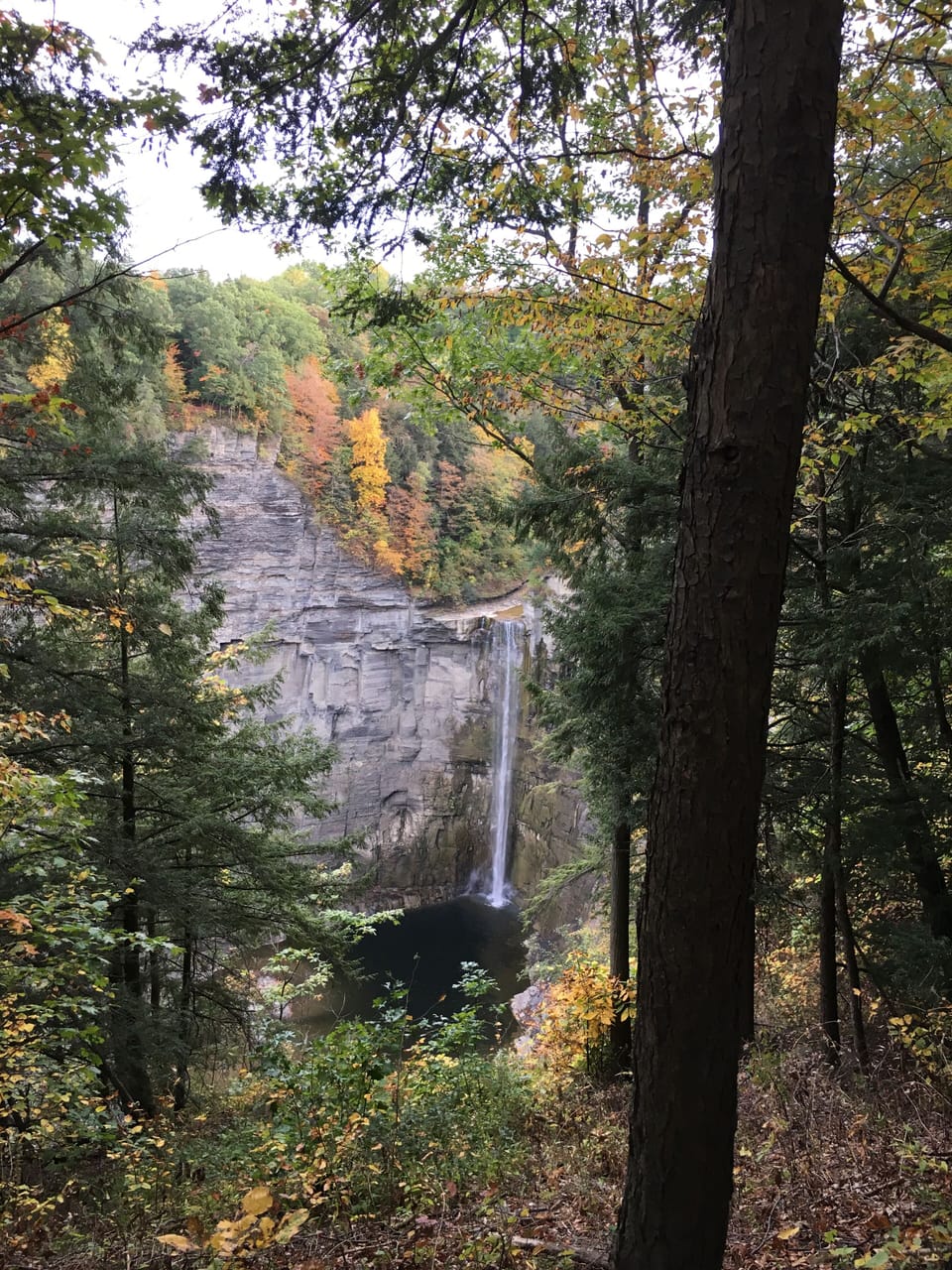Taughannock Falls from the overlook just 5 miles north of our house
