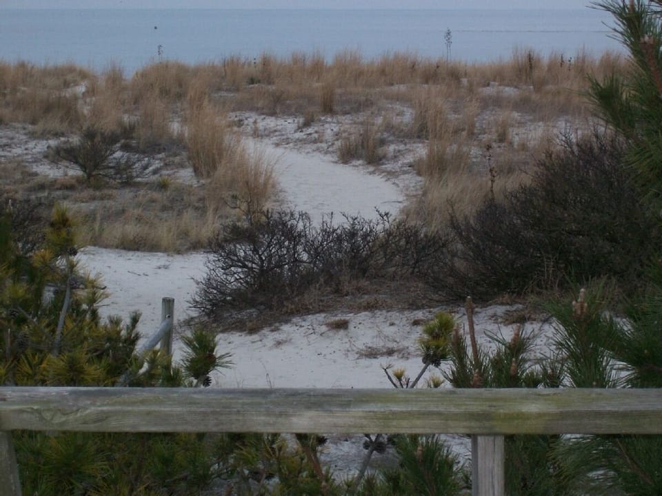 view of winding trail to beach from deck