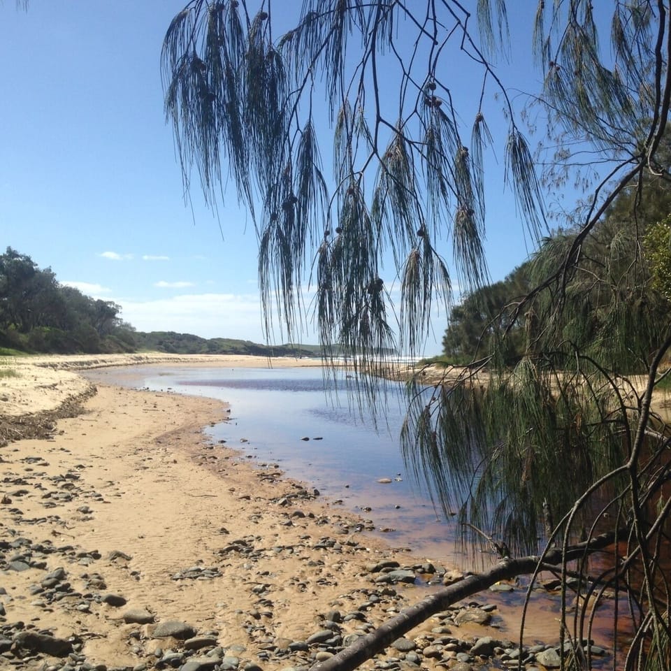 Back creek