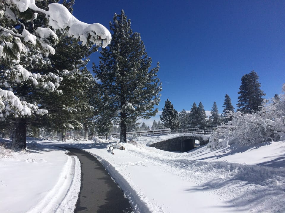 Walking trails are cleared and available all winter.